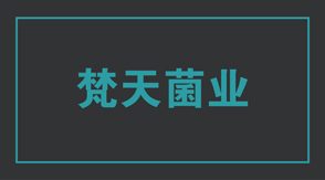 食品行业工作服定制设计款式